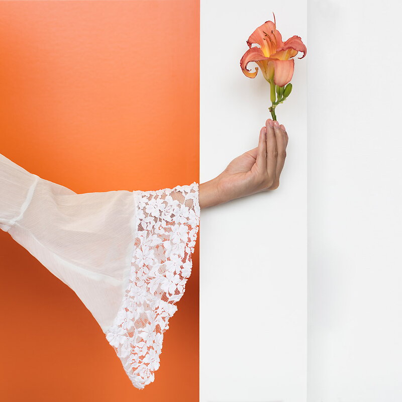 Daisy — photo 13