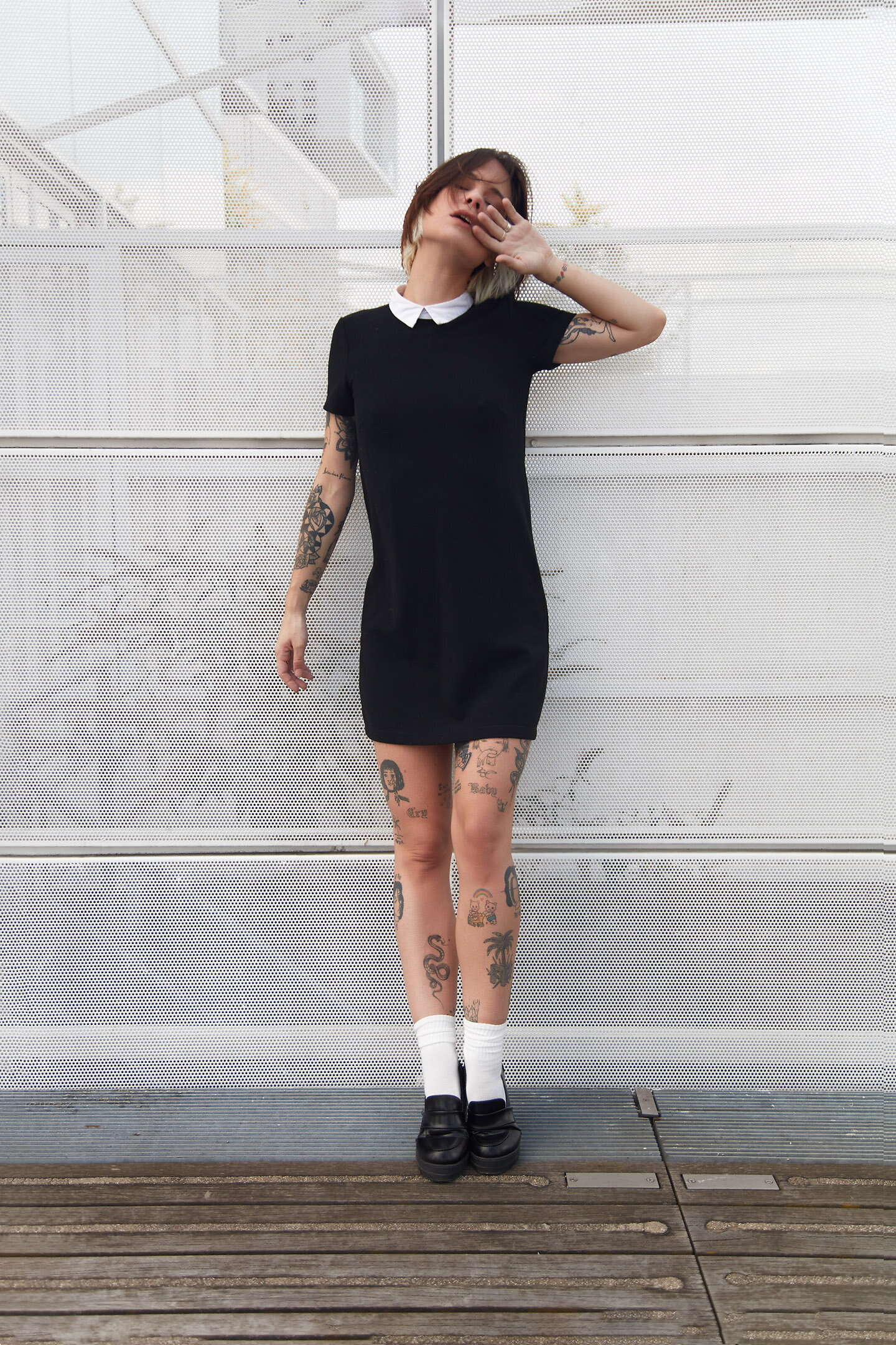 Lola — photo 14