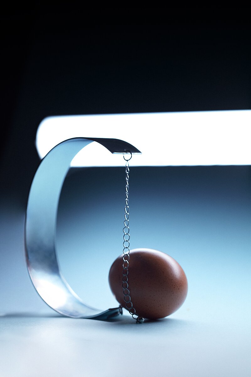 TRIUMPH NEGGS - 06