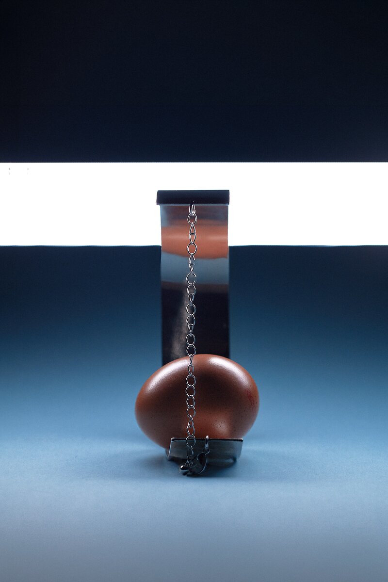TRIUMPH NEGGS - 12