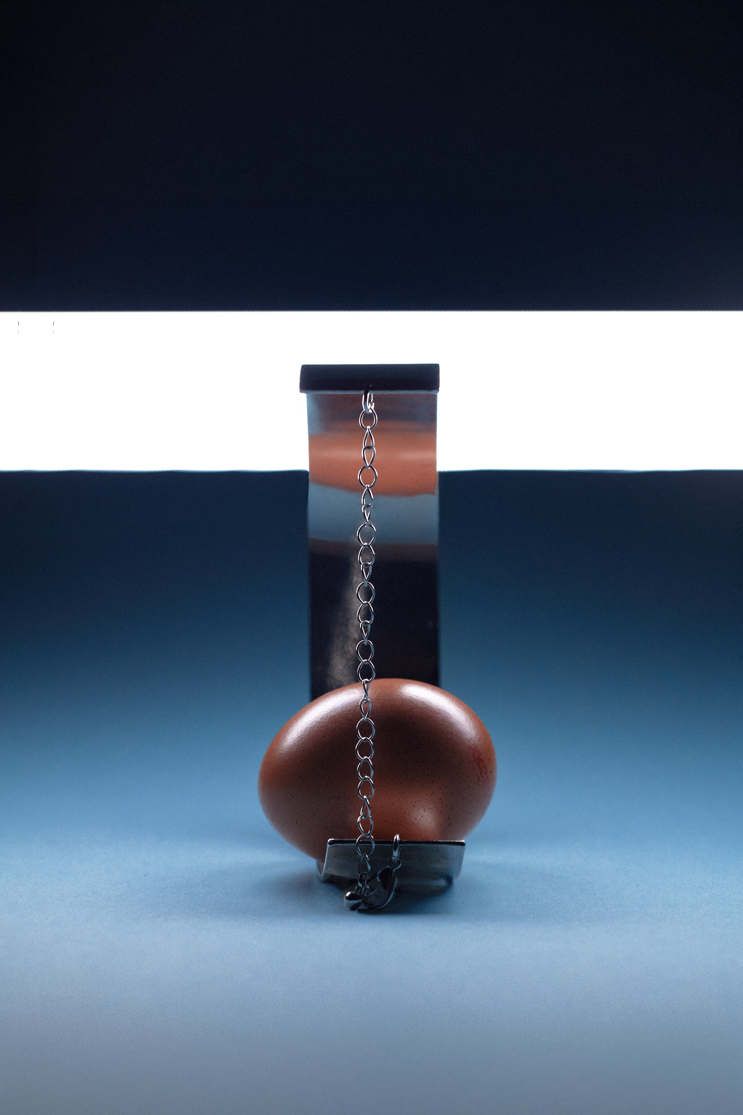 TRIUMPH NEGGS - 12